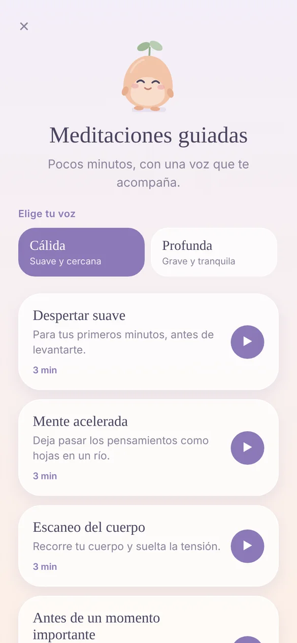 Meditaciones guiadas